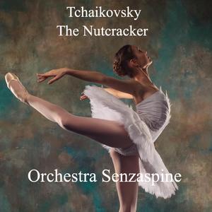 Marche (feat. Tommaso Ussardi)