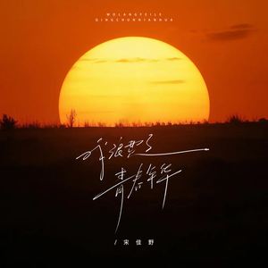 我浪费了青春年华