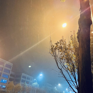 盛夏的果实吉他弹唱.wav