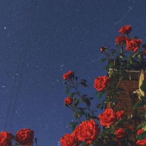 Overshare (feat. louiexo)