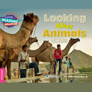 Looking after Animals-US