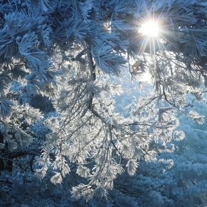 我希望今年比初雪先来的是你