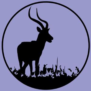 The Best Drop (Original Mix)