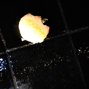 D0ObiewO0d 1 lwnd mix