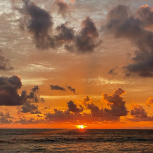 我爱你不问归期