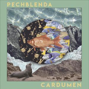 Cardumen