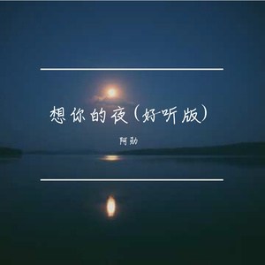 想你的夜(好听版)