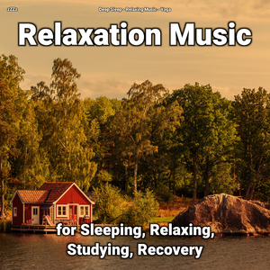 Relaxation Music Pt. 16