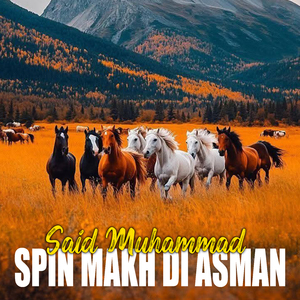Derwaza Ta Wazharam