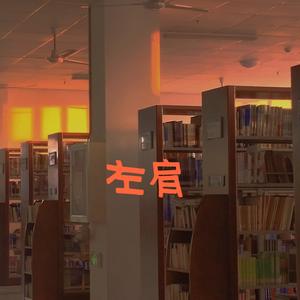 左肩翻唱—张碎碎