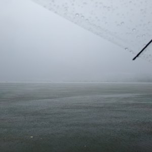 山谷邂逅