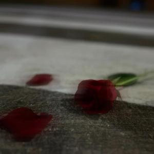 Si algún día te llego a encontrar