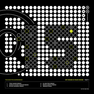 My House Is Your House (Steve Shaden Remix)