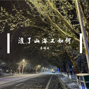 渡了山海又如何remix