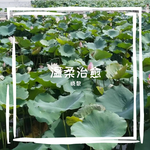 温柔治愈 伴奏