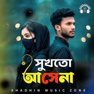 সুখটা আসে না