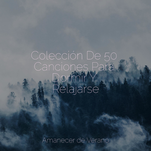 Júbilo Alegre de Jolgorio