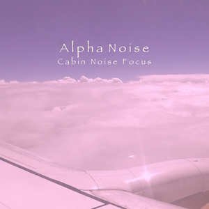 Aircraft Cabin Noise