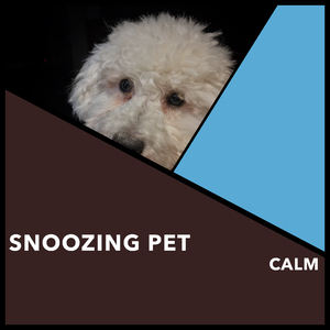 Restorative Dog Snooze