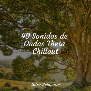 Camino De La Cola De Algodón