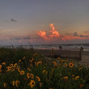 sweetthingslastlittle