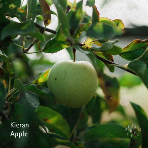 Apple (Piano Version)