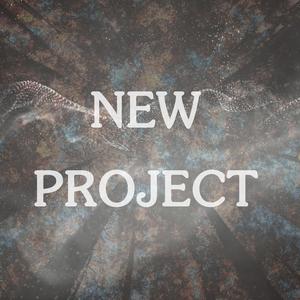 New Project
