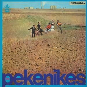 Troncos huecos (Instrumental) [2015 Remaster]