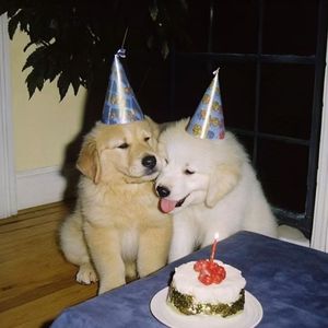 敕勒歌-谭维维版