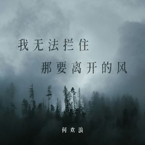 我无法拦住那要离开的风