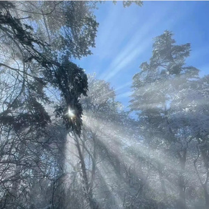 我听过一个故事(台词版)