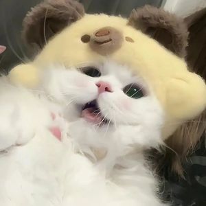 《戒疤比戒指更接近光速》