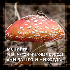 Мягкая поступь