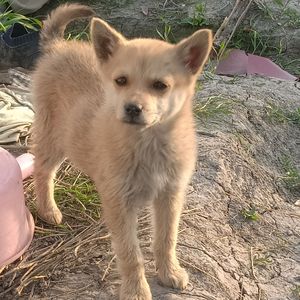 抱抱我吧快要碎了prodby24T