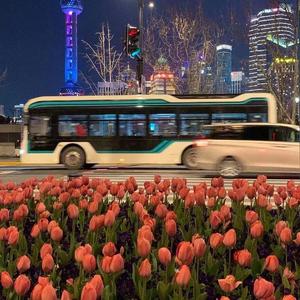 你相信平行时空吗