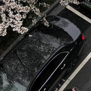 BACK SeAt（DJ 小頣 ）