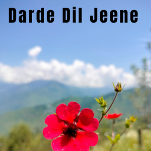 Deewani main deewani