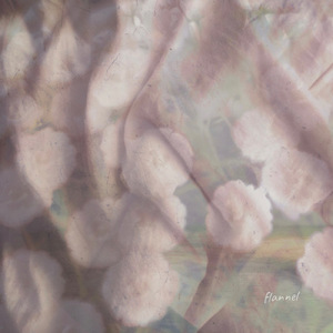 フェルトの花言葉