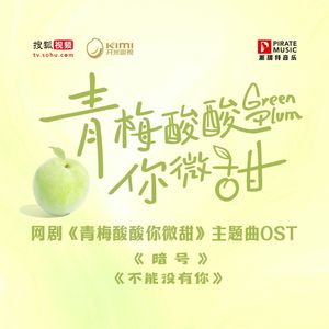 暗号（网剧《青梅酸酸你微甜》主题曲）