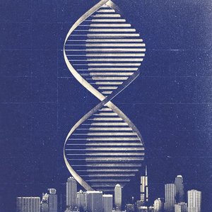 Harmonic Convergence2