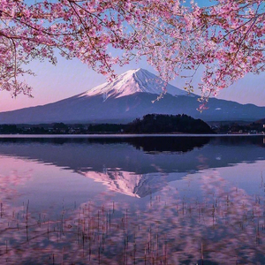 Gaining Through Losing