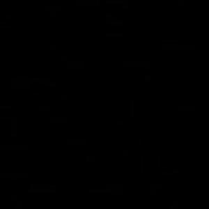 「FREE」＂PENG＂ - 吉他 or EOM Type Beat