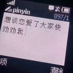 未妨惆怅是清狂