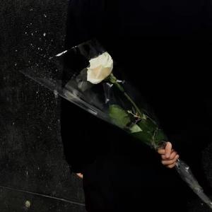 孤岛 （Prod.by farber）