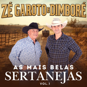 Garça Branca