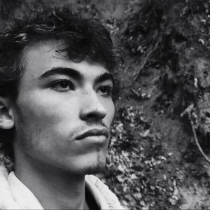 Dark Ravens Behind the Piano