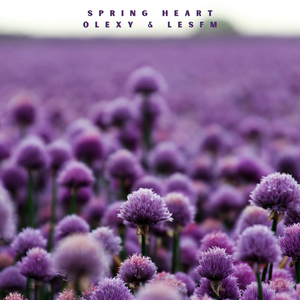 Spring Heart