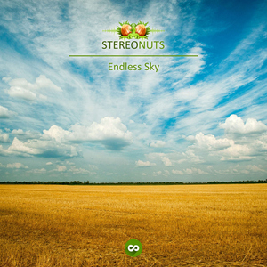 Endless Sky
