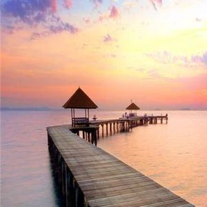 你把绝情给了动情的我