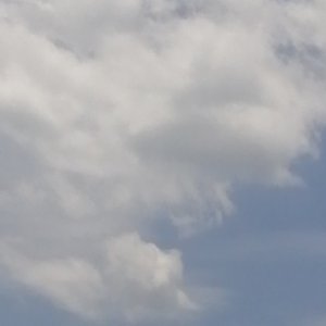 认领回忆
